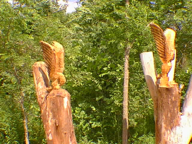 chesser 2 eagles