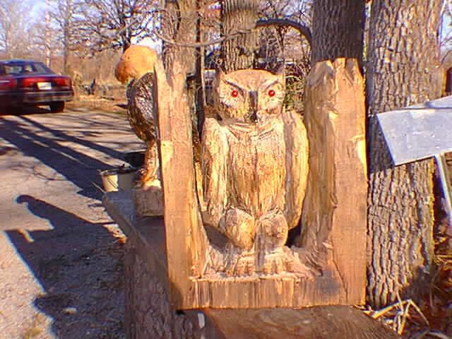 owl