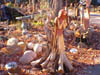 angel 0n stump
