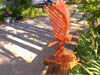 cedareagle1